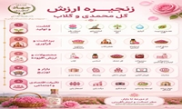 زنجیره ارزش گل‌محمدی و گلاب از مزرعه تا بازار